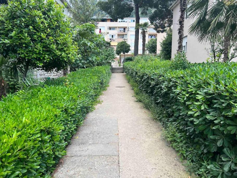 Sunshine Of Montenegro - Luxury Appartamento
