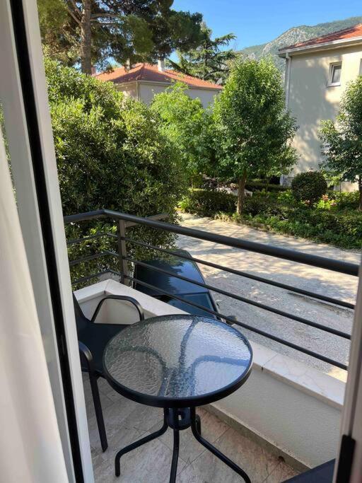 Sunshine Of Montenegro - Luxury Cattaro